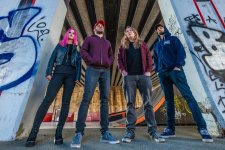 BANDS THROUGH THE LENS: Nest of Plagues