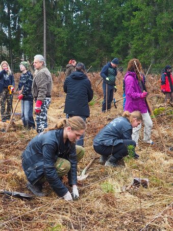 Épül, szépül a rendezvény helyszíne és környéke (Forrás: A Brutal Assault Facebook oldala)