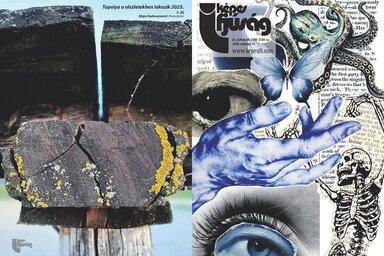 Március 11-én megjelent számunk cím- és hátoldala (Címoldal: Halápi Katarina Réka, Hátsó oldal: Topolya a részletekben lakozik – Maja Radovanović)