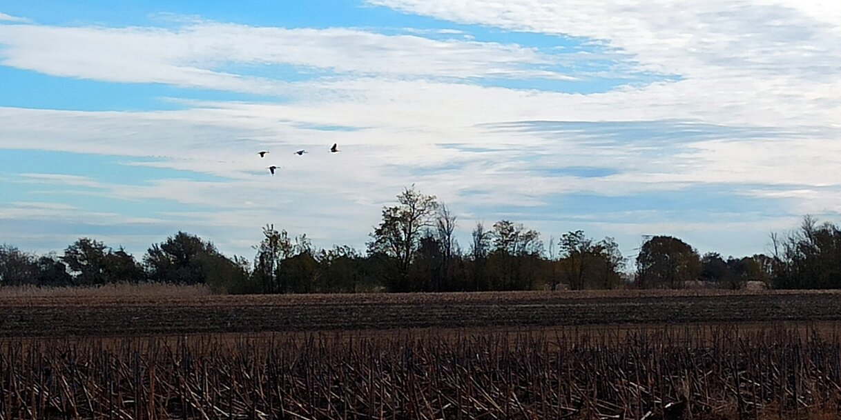 A szerző felvétele