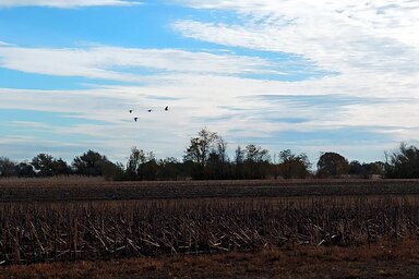 A szerző felvétele