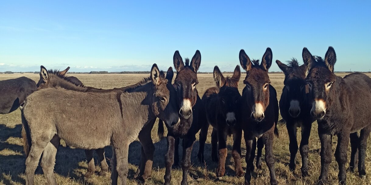 A szerző felvétele.