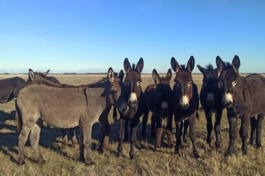 A szerző felvétele.