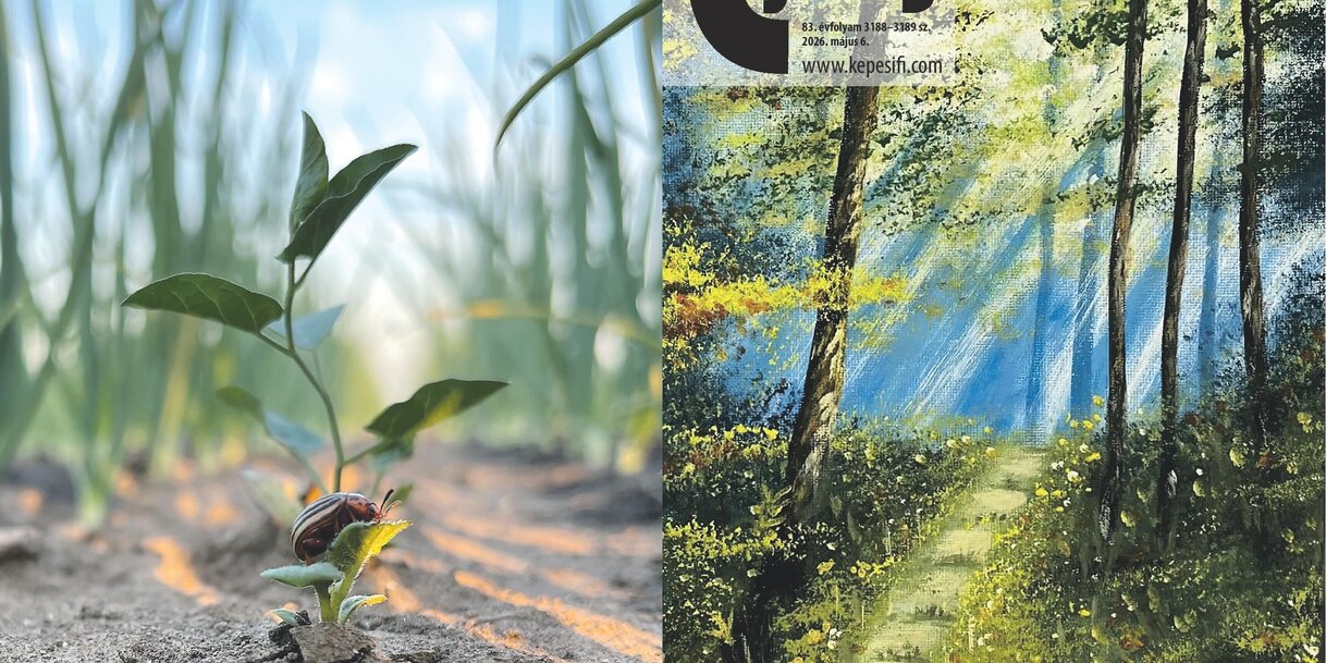 Május 6-án megjelent lapszámunk cím- és hátoldala (Címoldal: Mecserik Anita, Hátsó oldal: Topolya a részletekben lakozik – Jasna Milošev Brčin)