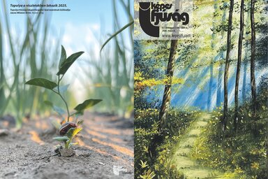 Május 6-án megjelent lapszámunk cím- és hátoldala (Címoldal: Mecserik Anita, Hátsó oldal: Topolya a részletekben lakozik – Jasna Milošev Brčin)