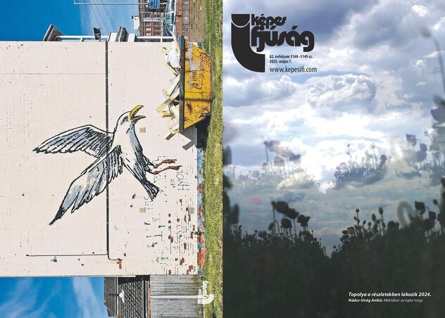 Címoldal: Topolya a részletekben lakozik – Nádor-Virág Anikó
Hátsó oldal: thetimes.com