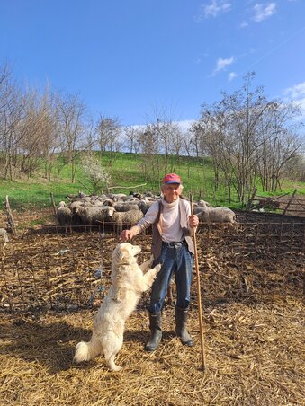 Dévity Tamás felvétele