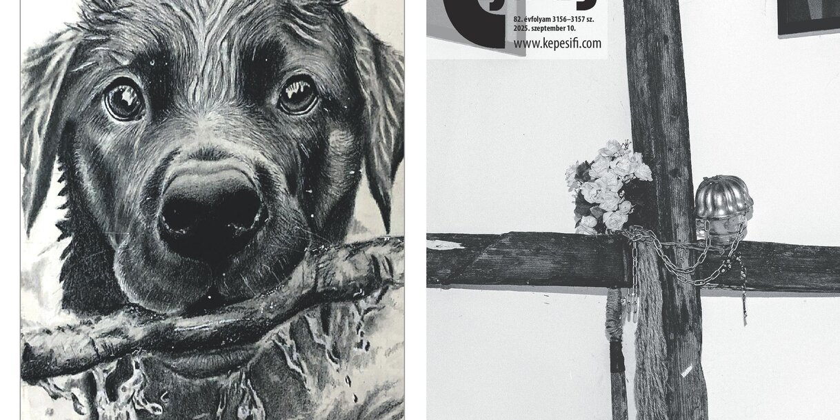 Szeptember 10-én megjelent lapszámunk cím- és hátsó oldala. Címoldal: Szabó Róbert  (@papírlap). Hátsó oldal: Magyar Gregus Renáta alkotása.