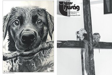 Szeptember 10-én megjelent lapszámunk cím- és hátsó oldala. Címoldal: Szabó Róbert  (@papírlap). Hátsó oldal: Magyar Gregus Renáta alkotása.