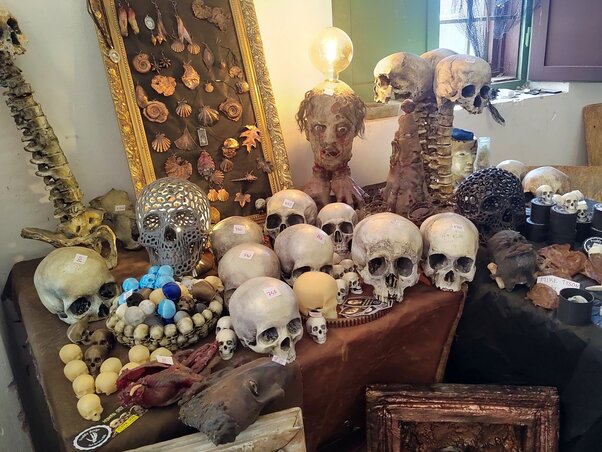 Koponyák jutányos áron keresik új gazdáikat