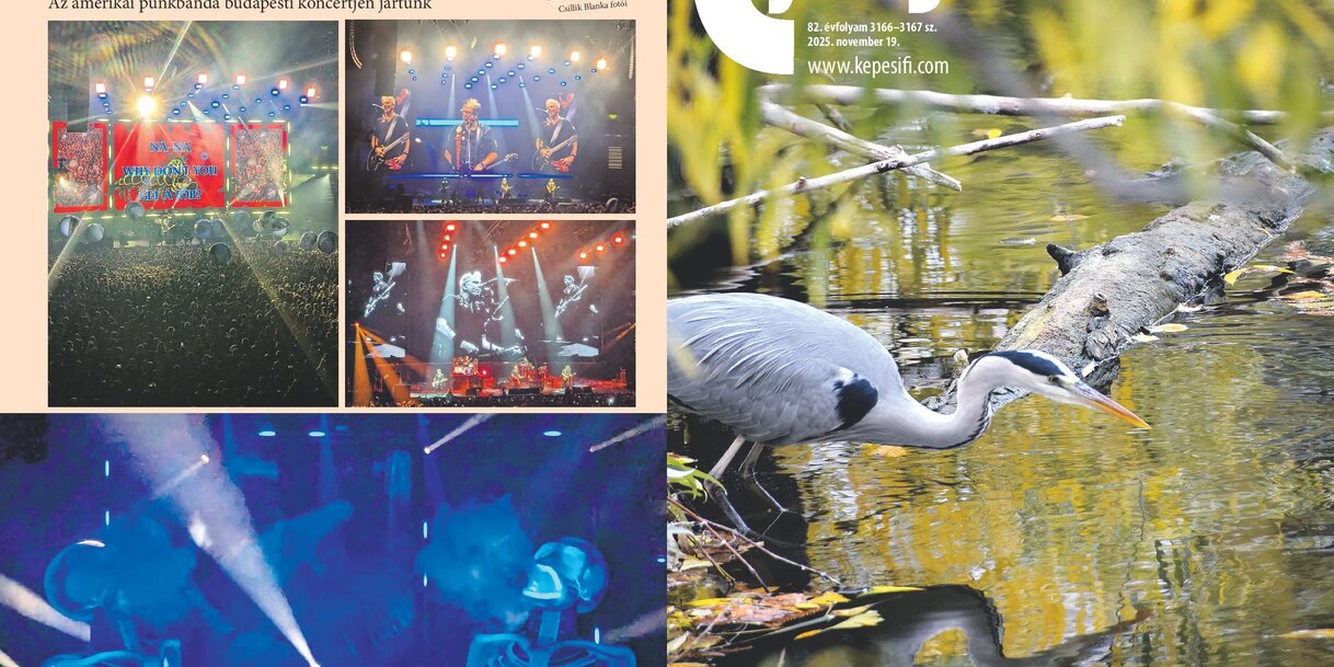 November 19-es lapszámunk borítója (Címoldal: Bíró Fanni fotója. Hátsó oldal: Csillik Blanka fotói.)