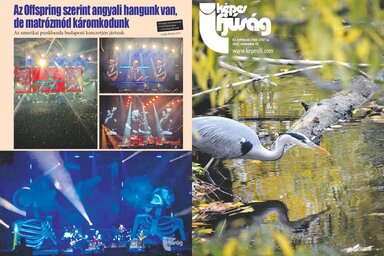 November 19-es lapszámunk borítója (Címoldal: Bíró Fanni fotója. Hátsó oldal: Csillik Blanka fotói.)