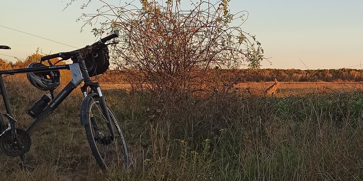 A szerző felvétele