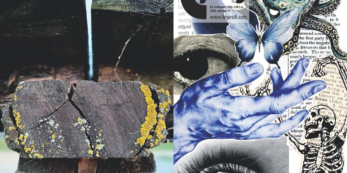 Március 11-én megjelent számunk cím- és hátoldala (Címoldal: Halápi Katarina Réka, Hátsó oldal: Topolya a részletekben lakozik – Maja Radovanović)