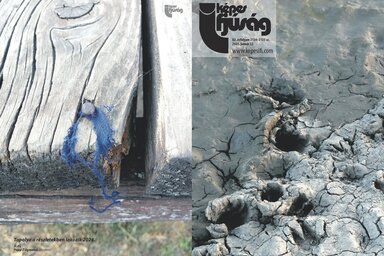 Címoldal: Ágoston Viktória
Hátsó oldal: Papp Zsigmond – Topolya a részletekben lakozik