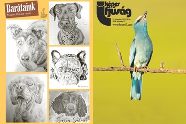 Címoldal: Szekeres Levente
Hátsó oldal: Magyar Renáta