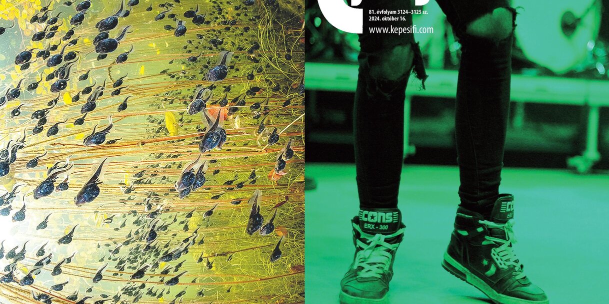 Címoldal: Vígi László (Evil Invaders at Rockmaraton 2024, Dunaújváros, Acélváros)
Hátsó borító: Shane Gross – Wildlife Photographer Of The Year