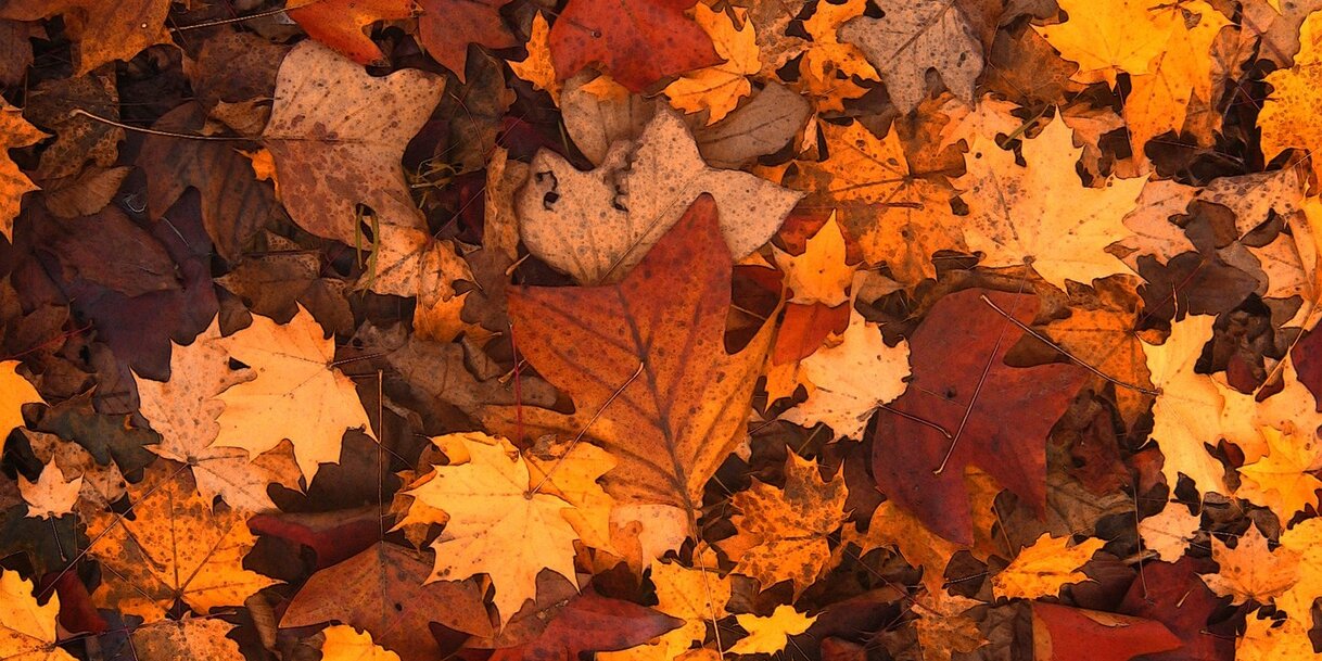 pixabay.com