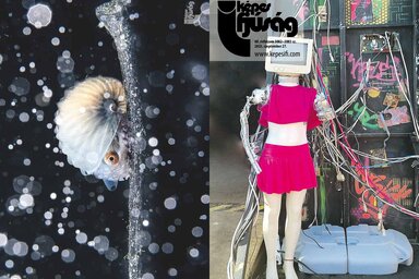 Címoldal: Győri Norbert
Hátsó oldal: Jialing Cai – Ocean Photofrapher of the Year – oceanographicmagazine.com