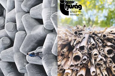 Címoldal: Topolya a részletekben lakozik – Maja Radovanović
Hátsó oldal: bbc.com