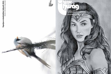 Címoldal: Sóti Beáta 
Hátsó oldal: Topolya a részletekben lakozik – Mészáros Csilla