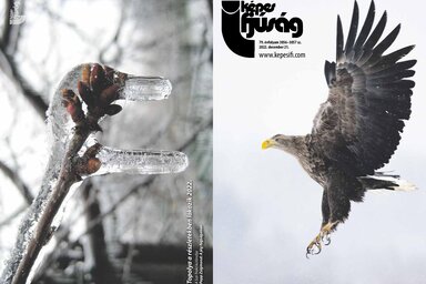 Címoldal: Szekeres Levente 
Hátsó oldal: Topolya a részletekben lakozik – Papp Zsigmond