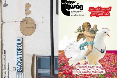 Címoldal: Rokon Ilonka Copyright 
Hátsó oldal: Topolya a részletekben lakozik – Fenyvesi Gergő