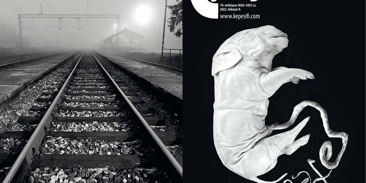 Címoldal: Törteli Réka
Hátsó oldal: Topolya a részletekben lakozik – Natalija Kovač