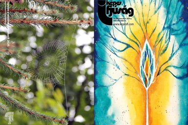 Címoldal: Tarapcsik Hajnalka Születés – @HaynaDesign 
Hátsó oldal: Topolya a részletekben lakozik – Nagy Dániel