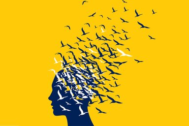 A kép forrása: www.imf.org