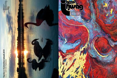 Címoldal: Szabó Kornélia 
Hátsó oldal: Topolya a részletekben lakozik – Zsáki István