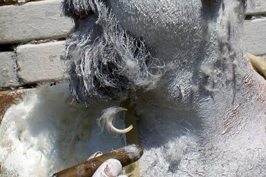 Szögi Csaba (fotó: Mucsi Attila)