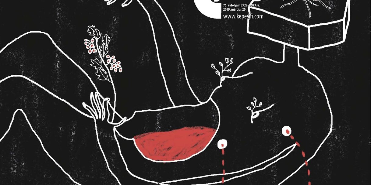 Címoldal és hátsó oldal: Kincses Endre: Mezítelen szűz