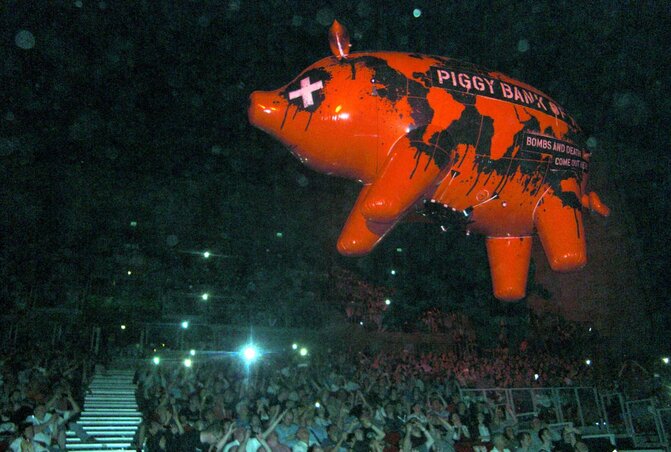 Az Állatfarmból a disznóval személyesen találkozhattunk, a kutyával a kivetítőn, de szegény birkák csak a könyvben és a Pink Floyd 1977-es, Animals című mesterművében szerepelnek Az Állatfarmból a disznóval személyesen találkozhattunk, a kutyával a kivetítőn, de szegény birkák csak a könyvben és a Pink Floyd 1977-es, Animals című mesterművében szerepelnek