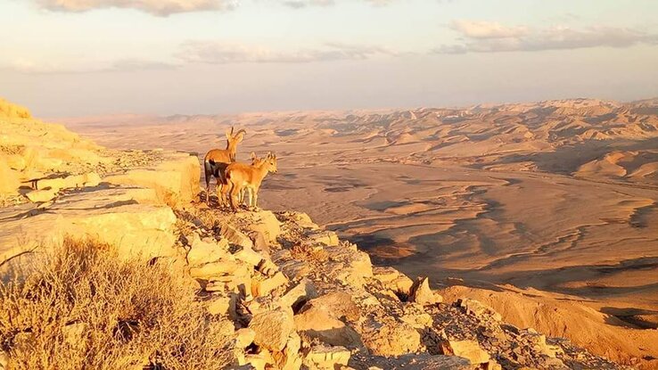 Mitzpe Ramon Mitzpe Ramon