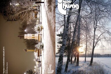 Címoldal: Szarvas Melinda
Hátsó oldal: Kokrehel Kitty – Topolya a részletekben lakozik 2017