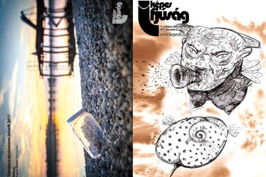 Címoldal: Vass Szabolcs
Hátsó oldal: Fügedi Róbert – Topolya a részletekben lakozik 2017