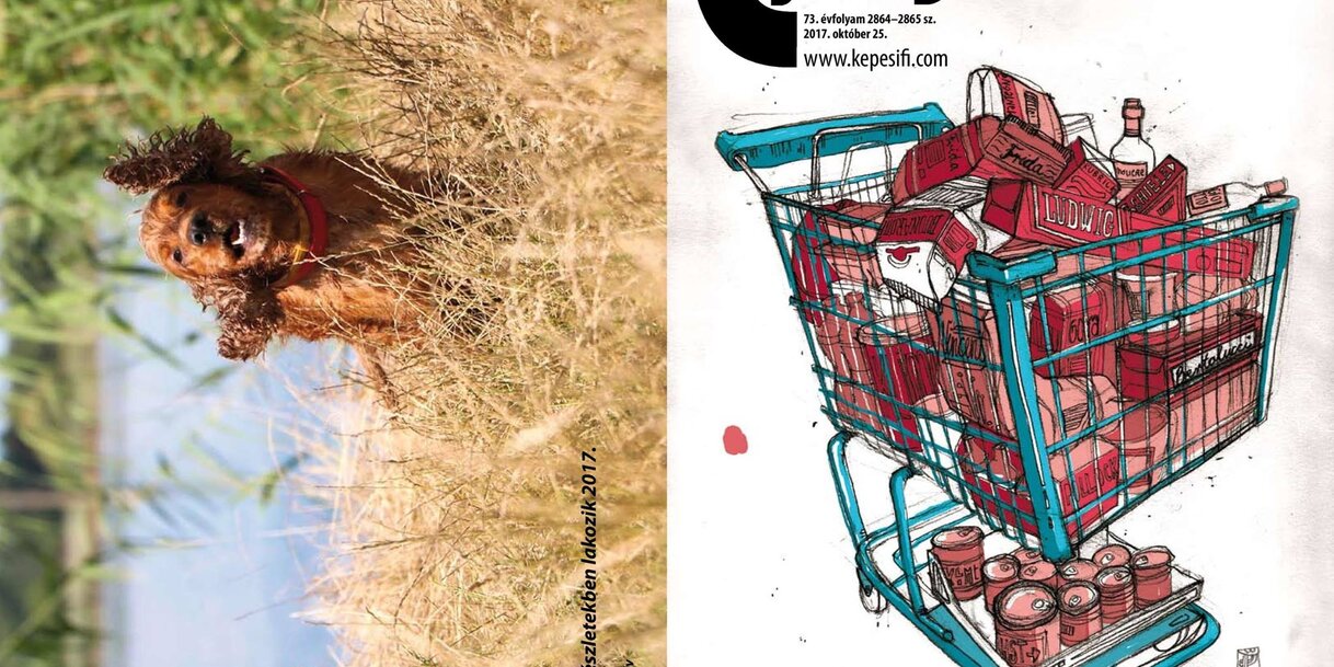 Címoldal: Oláh Dóri. Hátsó oldal: Turuc Réka – Topolya a részletekben lakozik