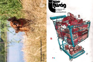 Címoldal: Oláh Dóri. Hátsó oldal: Turuc Réka – Topolya a részletekben lakozik