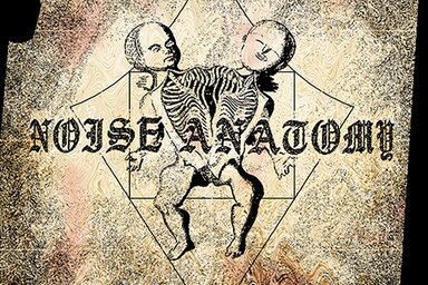 Noise Anatomy