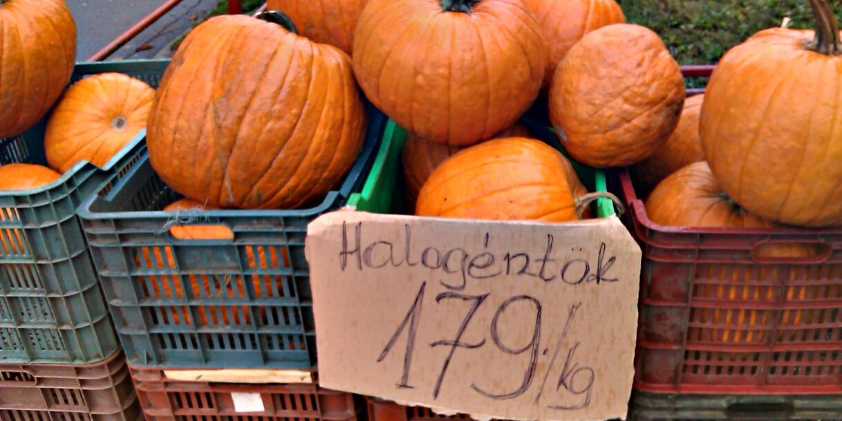 Halogéntök – halloween-tök