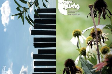 Címoldal és hátsó borító: Terék Anna