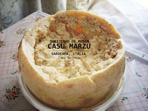 A híres mocorgó sajt: Casu Marzu A híres mocorgó sajt: Casu Marzu