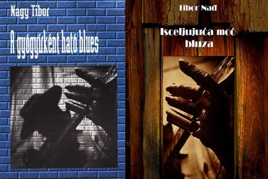 A könyvek borítói