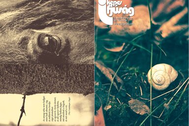 Címoldal és hátsó borító: Kátai Tamás