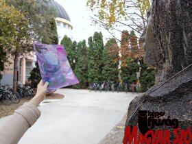 A Képes Ifjúság csapata a zentai Bolyai Tehetséggondozó Gimnáziumban járt