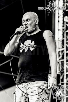 Brutal Assault 2014