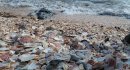 : A Fenella Beach, vagyis a kagylóstrand