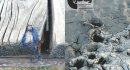 : Címoldal: Ágoston Viktória
Hátsó oldal: Papp Zsigmond – Topolya a részletekben lakozik 