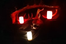 Győri Norbert*: A fesztivál minden sarkában találkozhatunk egy meglepetéssel.
